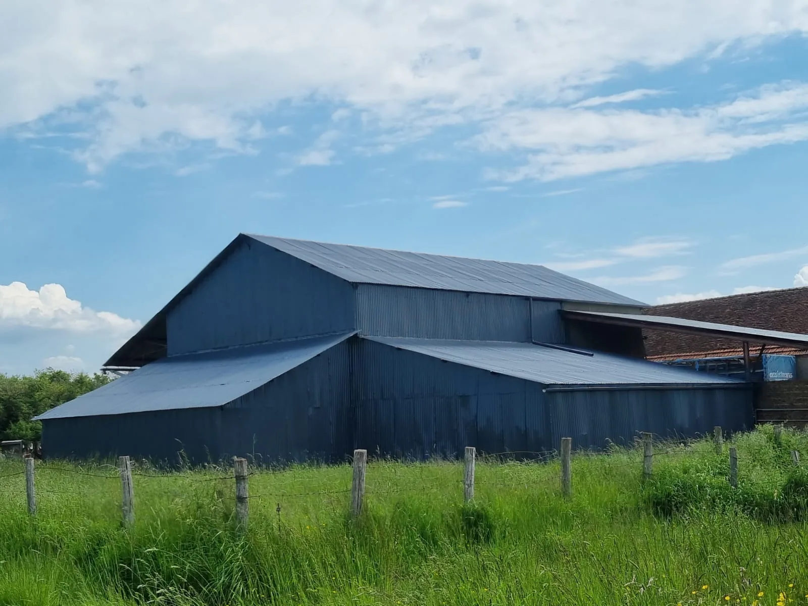Nettoyage et peinture de bâtiment agricole : redonner dix ans à un hangar en tôle