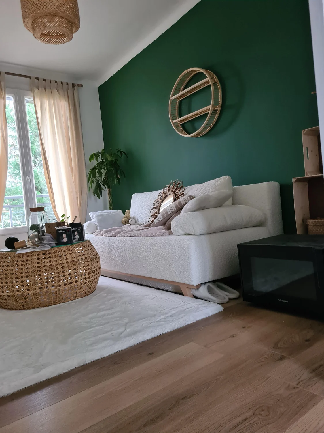 Panoramique forêt